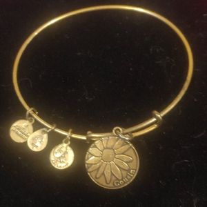 Alex and Ani charm bracelet